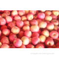 Fresh Fruit , Rich Nutritions Organic Fuji Apple For Human